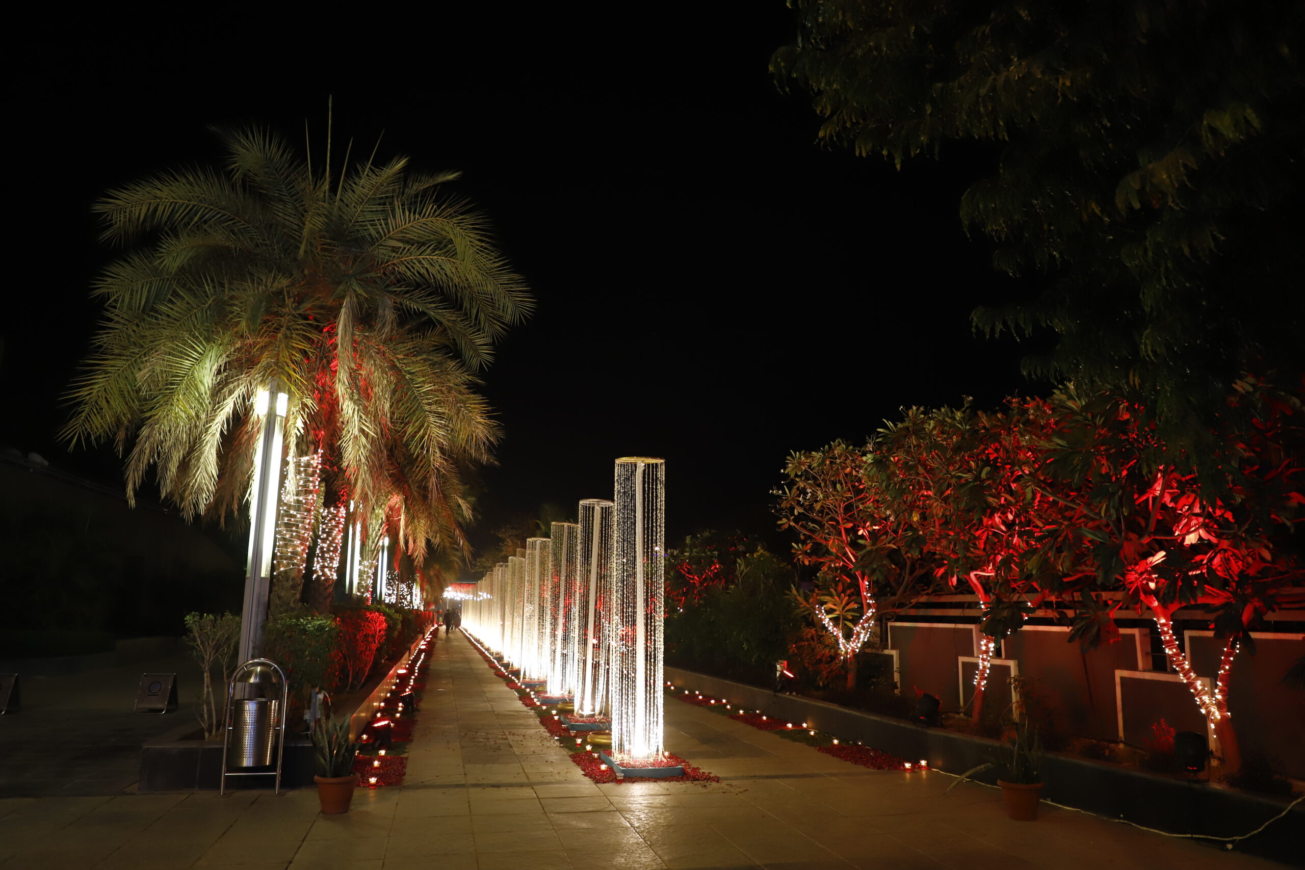 entry pessage_MG_9930